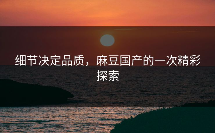 细节决定品质,麻豆国产的一次精彩探索