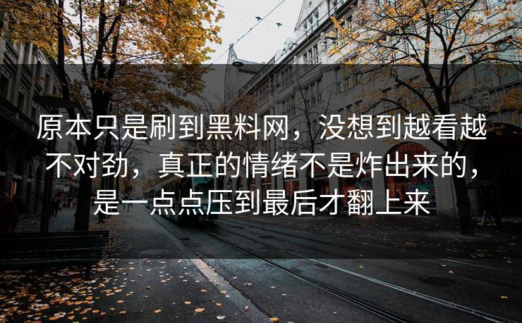 原本只是刷到黑料网，没想到越看越不对劲，真正的情绪不是炸出来的，是一点点压到最后才翻上来